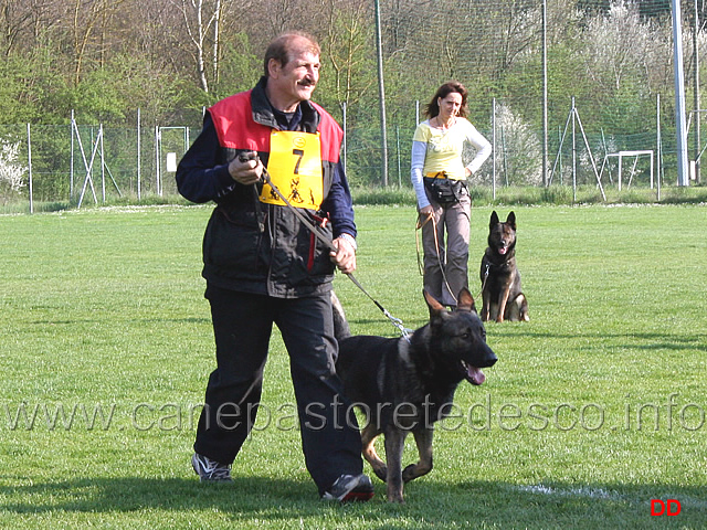 253.jpg - Premiazione IPO1. 4° classificato. Alberto Leonardelli con Hex della Zattera