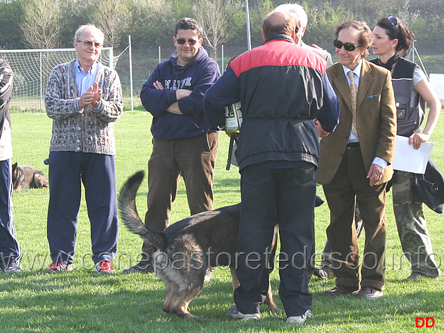 255.jpg - Premiazione IPO1. 4° classificato. Alberto Leonardelli con Hex della Zattera