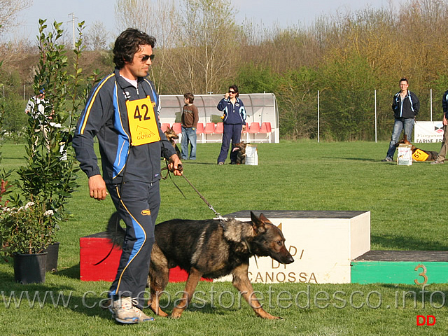 283.jpg - Premiazione IPO3: 5° classificato Roberto Frattaroli con Boss dei Lupi di Mare