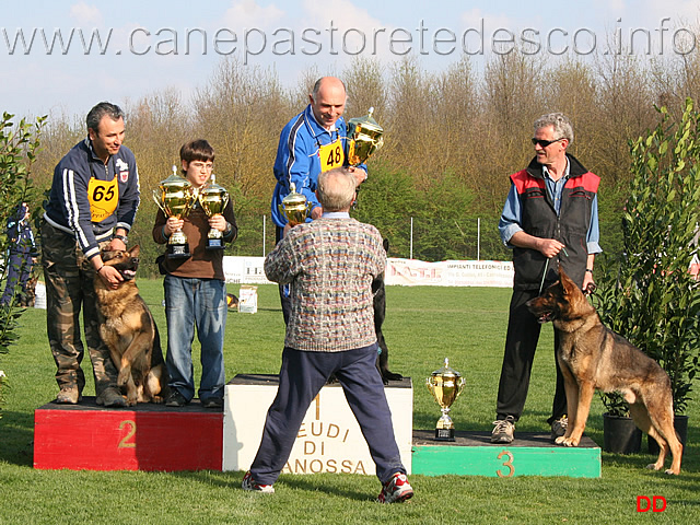 292.jpg - Umberto Giova con Fea premiato per la miglior obbedienza (97 Ecc)