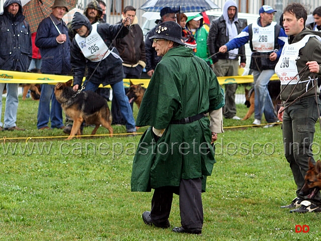 018.jpg - Classe Cucciolone femmine il giudice Pettinaroli osserva con attenzione la classe