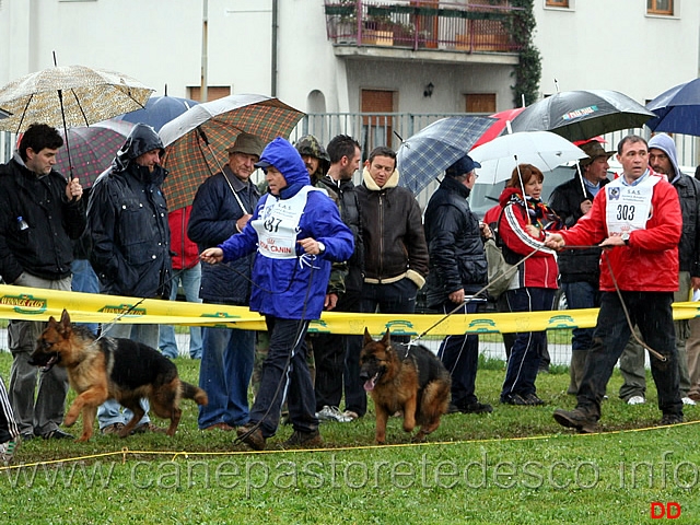 019.jpg - Classe Cucciolone femmine Raia Domus Remota conquista la terza posizione dietro a Gerryval Alin