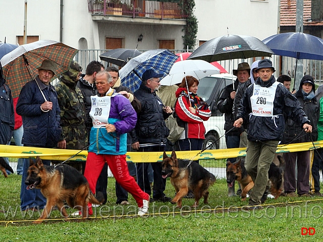 020.jpg - Classe Cucciolone femmine Nora di Bel Poggio e Elly del Seprio