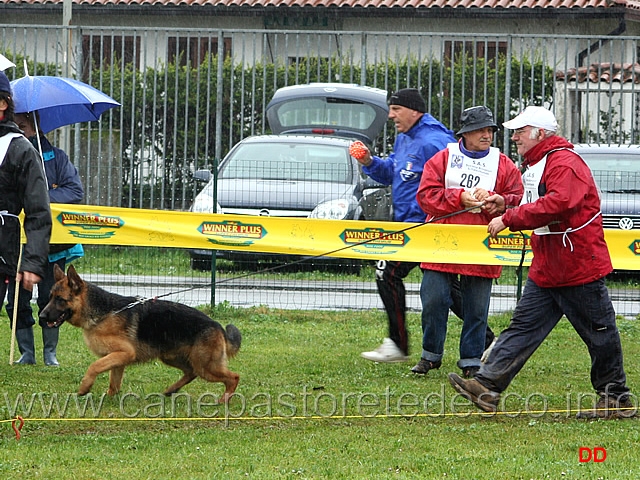 039.jpg - Classe Cuccioloni maschi Fanto von Asics