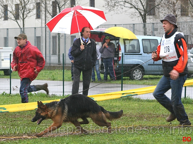 051.jpg - Giovanissime femmine Xana di Zenevredo