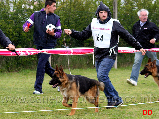 049.jpg - Classe Juniores maschi 9 Roy del Reventino