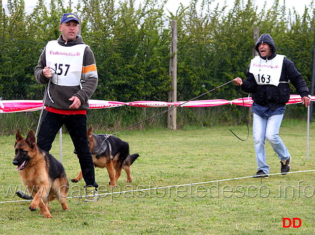 054.jpg - Classe Juniores maschi 7 Yago di Croce Santo Spirito e 10 Quan di Casa Gregori