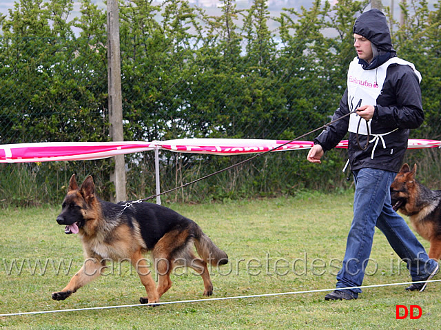 068.jpg - Classe Juniores maschi 9 Roy del Reventino