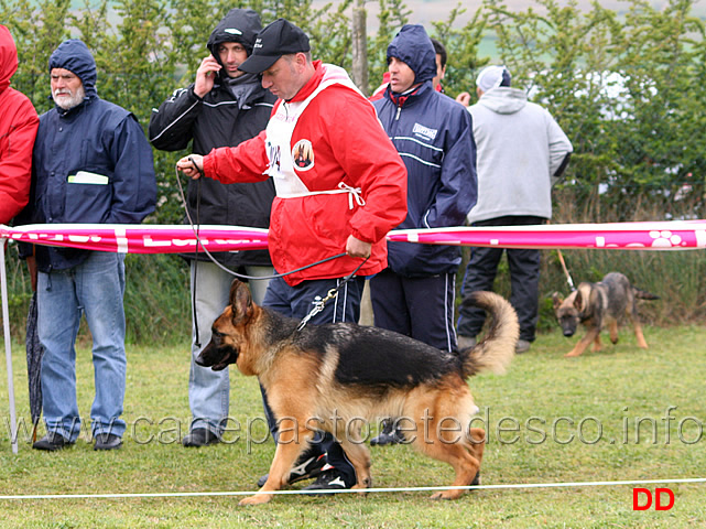 042.jpg - Giovanissime femmine. Maty della Valle del Liri