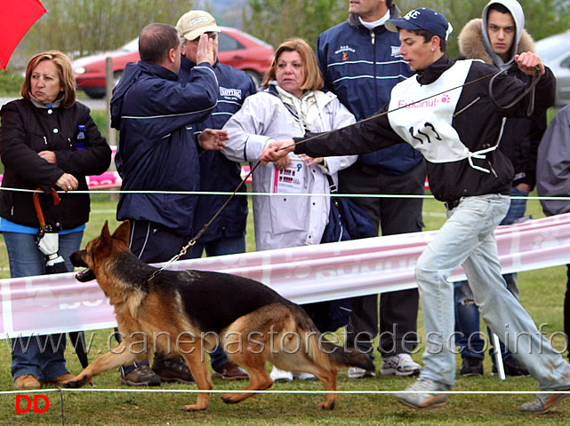 077.jpg - Giovanissime femmine. Petra Ulmental 10 MB