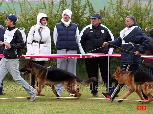 111.jpg - Giovanissimi maschi.Ross di Casa Soder