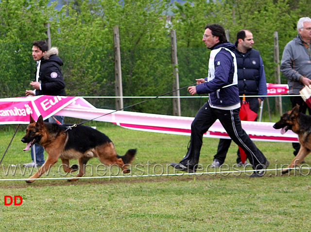 146.jpg - Giovanissimi maschi. Ilko de Casa do Bento