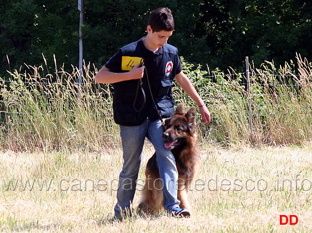 alessandro-percussi-con-scott-dei-monti-della-laga-esordienti-03.jpg - Alessandro Percussi con Scott dei Monti della Laga Esordienti fase B