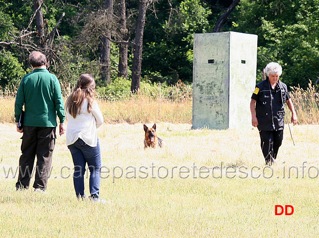 gianna-rocchi-con-camilla-di-colmarina-avviamento-02.jpg - Gianna Rocchi con Camilla di Colmarina Avviamento fase B