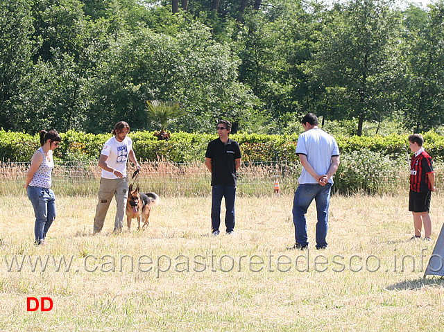 luca-enriquez-con-urano-della-cascina-vecchia-esordienti-02.jpg - Luca Enriquez con Urano della Cascina Vecchia . Esordienti fase B