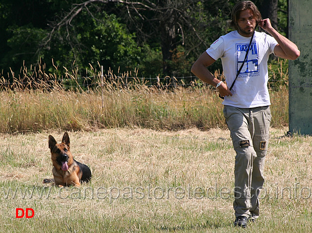 luca-enriquez-con-urano-della-cascina-vecchia-esordienti-04.jpg - Luca Enriquez con Urano della Cascina Vecchia . Esordienti fase B