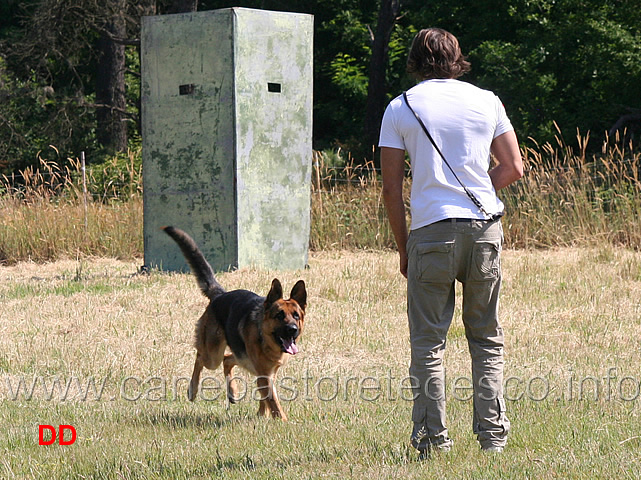 luca-enriquez-con-urano-della-cascina-vecchia-esordienti-05.jpg - Luca Enriquez con Urano della Cascina Vecchia . Esordienti fase B