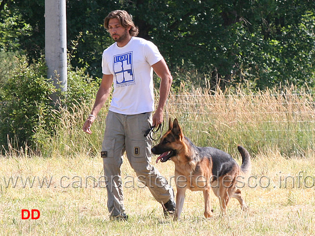 luca-enriquez-con-urano-della-cascina-vecchia-esordienti.jpg - Luca Enriquez con Urano della Cascina Vecchia . Esordienti fase B