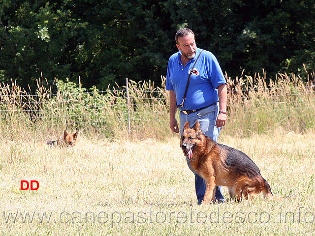 paolo-spaccini-con-king-cane-in-bianco-.jpg - Paolo Spaccini con King (cane in bianco...11 anni e non sentirli)