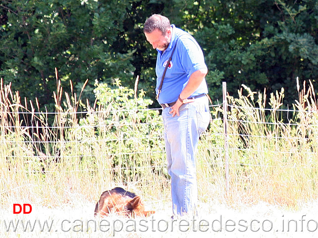 paolo-spaccini-con-king.jpg - Paolo Spaccini spiega a King che platz è platz (beh...a 11 anni è lecito rotolarsi...)