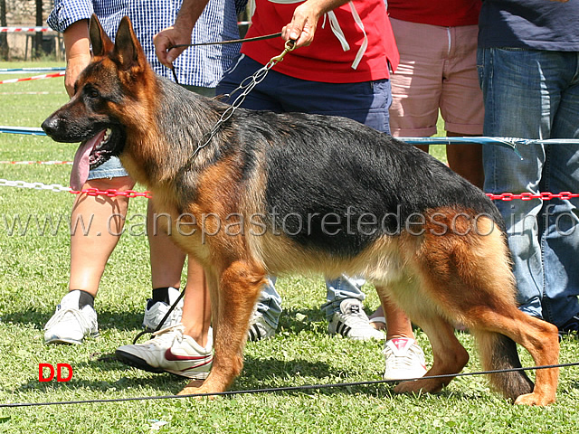 1mb-giovanissimi-ulivo-del-rione-antico.jpg - Giovanissimi maschi 1 MB Ulivo del Rione Antico 