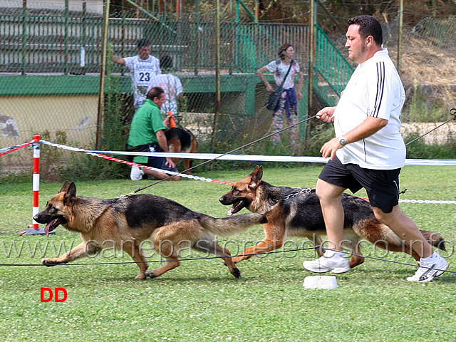 beta-di-camporeale-tracy-di-casa-nobili.jpg - Beta di Camporeale e Tracy di Casa Nobili