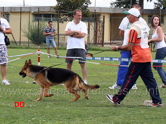 carol-di-federico-II-di-svevia.jpg - Carol di Federico II di Svevia