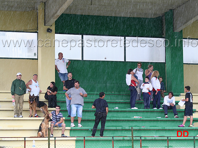 espositori-al-riparo.jpg - Giove Pluvio colpisce ancora.Espositori al riparo (quei pochi rimasti)