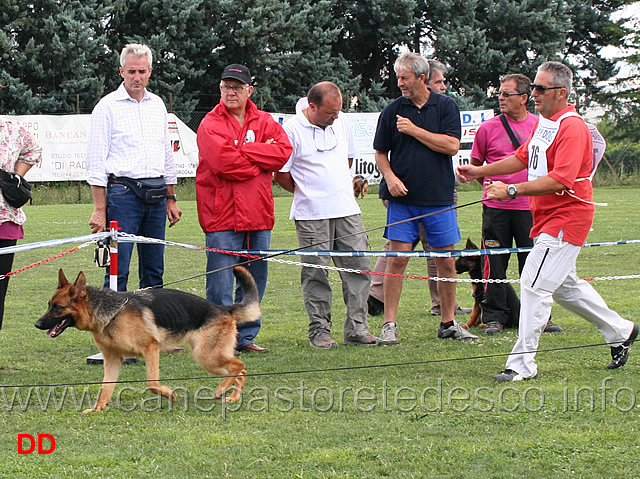 fedra-della-val-sangro.jpg - Fedra della Val Sangro 