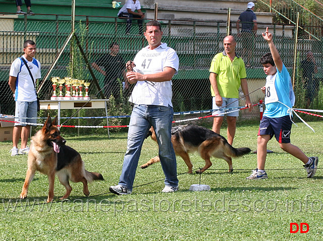 giovani-femmine-tracy-della-gens-pontina-etna-dell-appio.jpg - Giovani femmine Tracy della Gens Pontina e Etna dell'Appio 