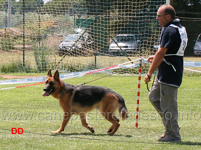 giovanissimi-maschi-barth-del-chilometro-lanciato.jpg - Giovanissimi maschi Barth del Chilometro Lanciato 