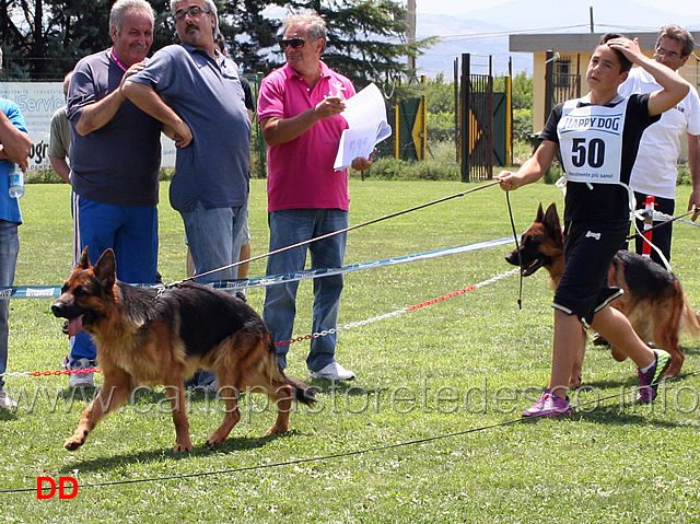 giovanissimi-maschi-wolf-dei-monti-della-laga.jpg - Giovanissimi maschi Wolf dei Monti della Laga