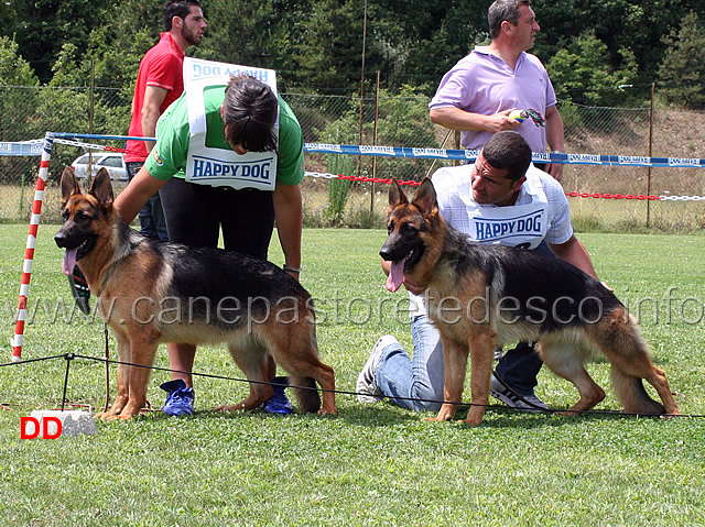 ina-del-catone-corena-d-altavilla.jpg - Ina del Catone e Corena d'Altavilla