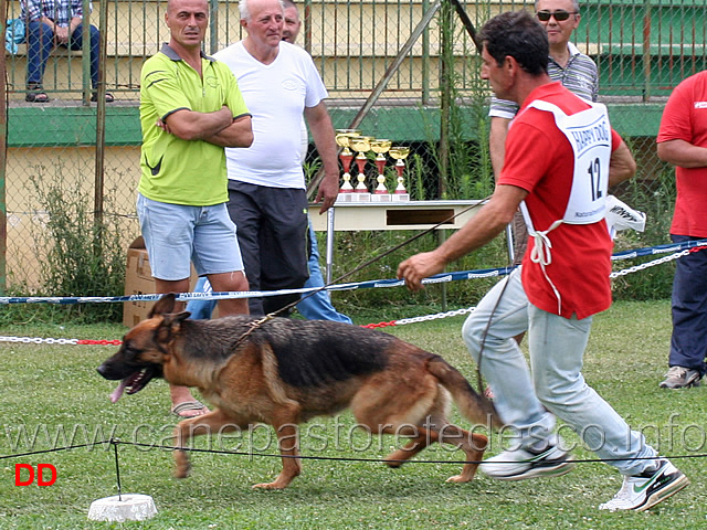 lavoro-femmine-furba-degli-arvali.jpg - Lavoro femmine Furba degli Arvali 