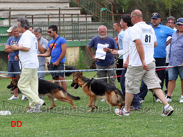 nadia-di-casa-farina-guadagna-posizioni.jpg - Nadia di Casa Farina guadagna posizioni