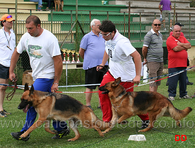 tracy-degli-iapigi-anka.jpg - Tracy degli Iapigi e Anka