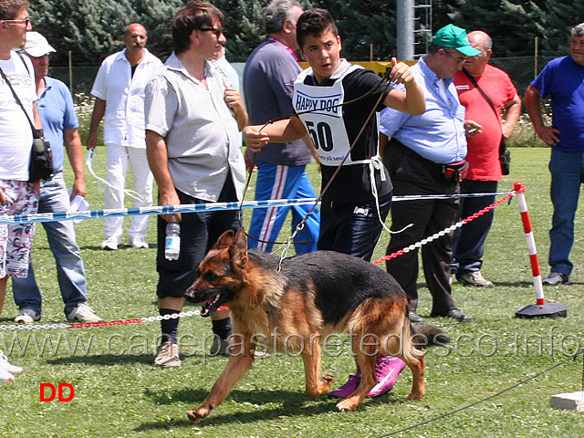 wolf-dei-monti-della-laga-02.jpg - Wolf dei Monti della Laga  condotto da Andrea De Ciantis