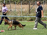 cucciolone-femmine-ara-dei-lupi-di-mare