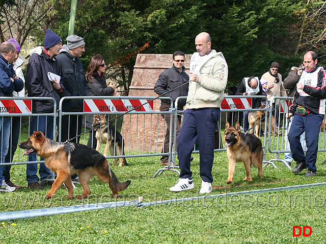 aiko-vax-di-ca-de-pace.jpg - Classe Juniores maschi Aiko e Vax di Ca' de' Pace