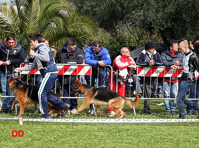 atos-degli-iapigi-e-manconegiotto.jpg - Classe Giovanissimi maschi Atos degli Iapigi e Manconegiotto