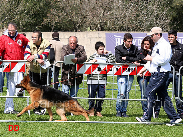 cruss-delori.jpg - Classe Cuccioloni maschi Cruss Delori