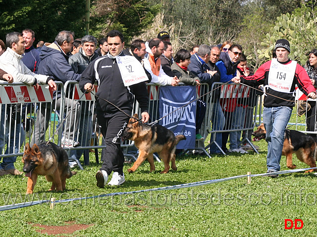 diego-e-dorian-team-gaudi.jpg - Diego e Dorian Team Gaudi