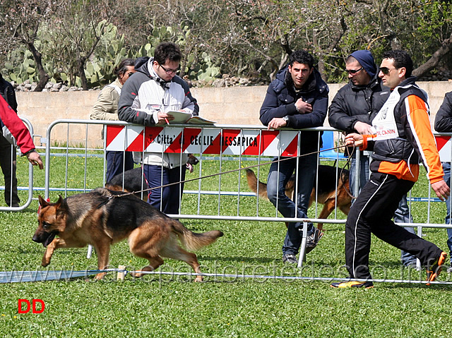 diwo-dell-isolotto.jpg - Classe Cuccioloni maschi Diwo dell'Isolotto