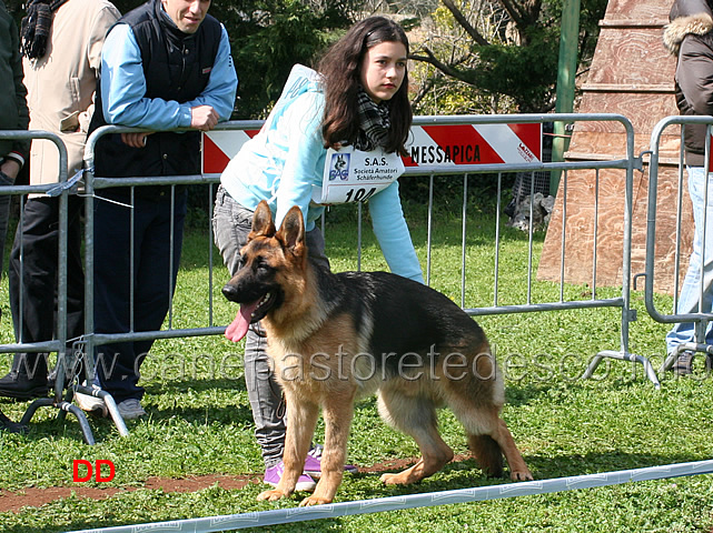 fido-02.jpg - Fido 14 MP Juniores maschi