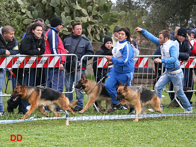 fina-alto-pino-gerry-val-ira-eva-di-camporeale.jpg - Fina dell'Alto Pino, Gerry Val Ira e Eva di Camporeale