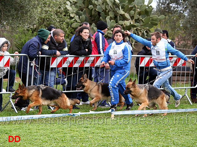 fina-dell-alto-pino-gerry-val-ira-eva-di-camporeale.jpg - Fina dell'Alto Pino, Gerry Val Ira e Eva di Camporeale