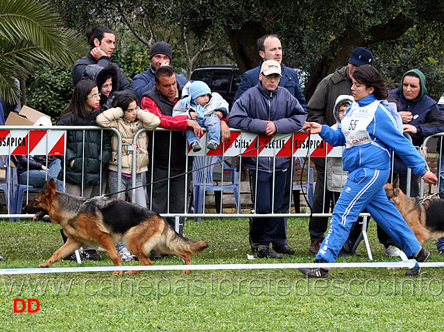 fina-dell-alto-pino-passa-in-prima-posizione-02.jpg - Fina dell'Alto Pino passa in prima posizione