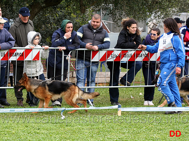 fina-dell-alto-pino-passa-in-prima-posizione.jpg - Fina dell'Alto Pino passa in prima posizione