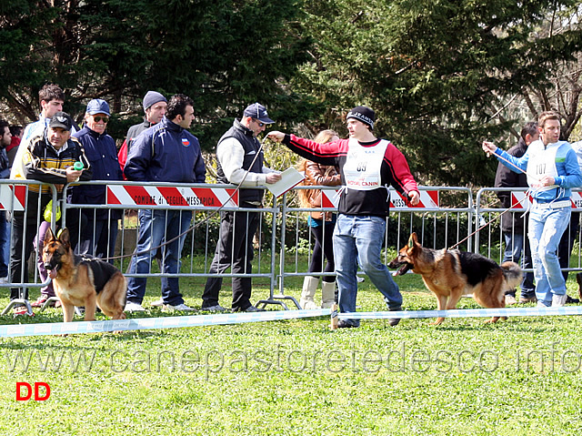 giada-di-casa-vizzato-e-bella-della-gens-pontina.jpg - Giada di Casa Vizzato passa in terza posizione davanti a Bella Gens Pontina