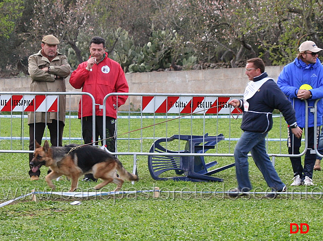 greta-dei-lotito.jpg - Lavoro femmine Greta dei Lotito